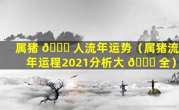 属猪 🐎 人流年运势（属猪流年运程2021分析大 🐞 全）